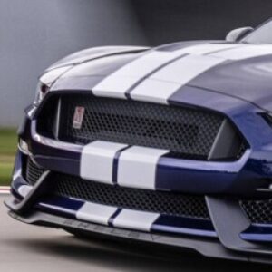 Profile picture of Mario Soler