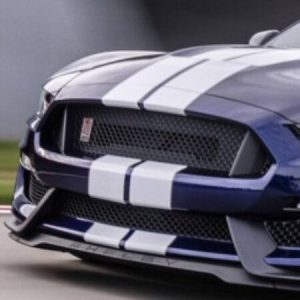 Foto del perfil de Mario Soler